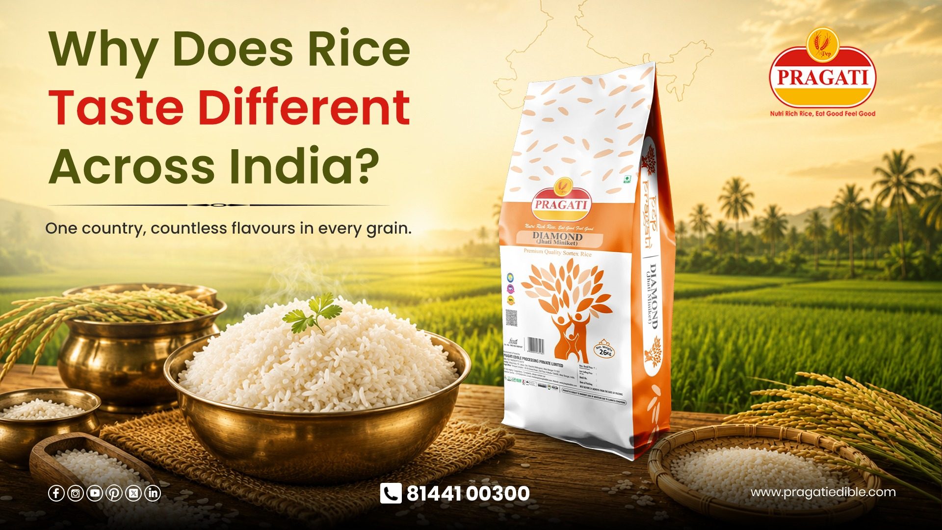 Why Does Rice Taste Different in Different Parts of India?