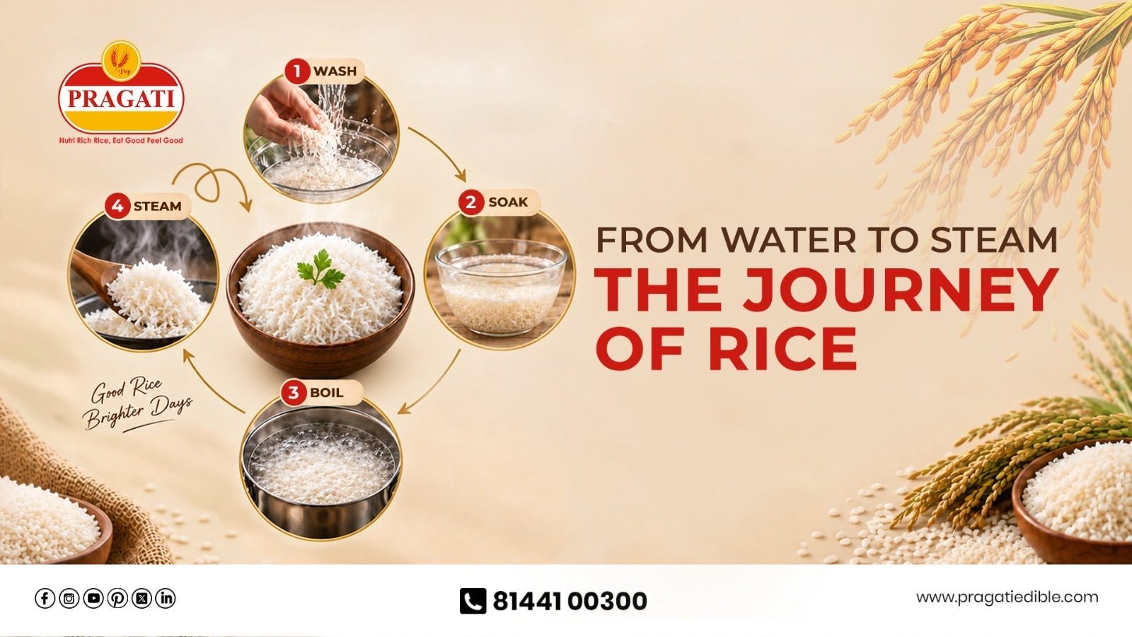 The Hidden Role of Water in Cooking Rice: From Soaking to Steam